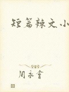短篇辣文小说