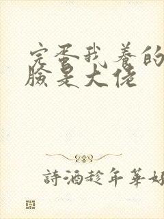 完蛋我养的小白脸是大佬