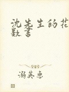 沈先生的花式调数书