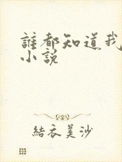 谁都知道我爱你小说