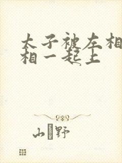 太子被左相和右相一起上