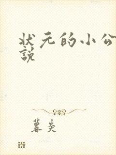 状元的小公主小说