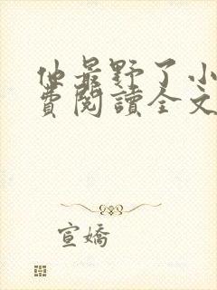 他最野了小说免费阅读全文