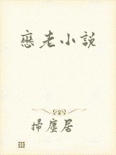 恋老小说