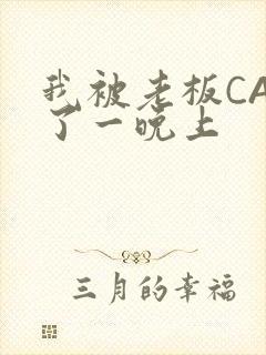 我被老板CAO了一晚上