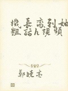 机长脔到她哭h粗话h视频