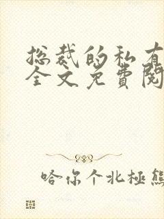 总裁的私有宝贝全文免费阅读