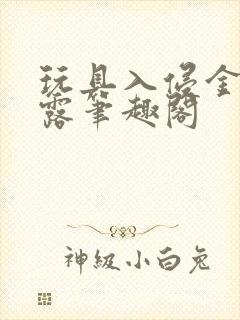 玩具入侵金银花露笔趣阁