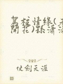 驾校情缘(老树开花)孙潇潇第一次趣笔阁