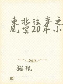 东北往事之黑道风云20年小说