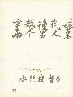 穿越后我嫁给了两个男人暮色酒歌