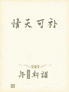 情天可补