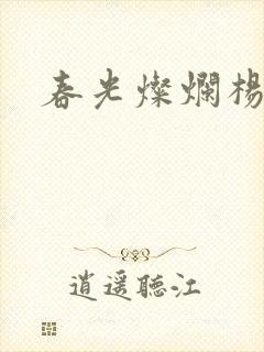 春光灿烂杨家将