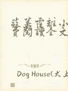 苏莱霍离小说免费阅读全文