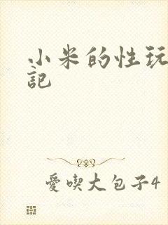小米的性玩具日记