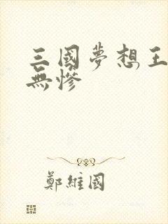 三国梦想王元姬无惨
