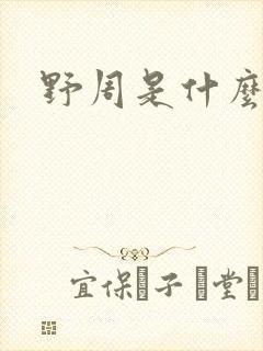 野周是什么意思