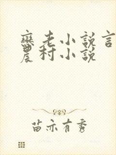 恋老小说言情网农村小说