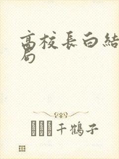 高校长白结大结局
