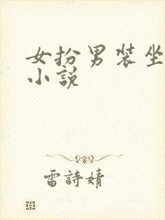 女扮男装坐江山小说