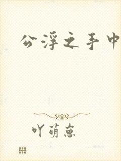公浮之手中字5