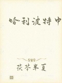 哈利波特中文版