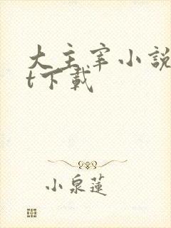 大主宰小说txt下载