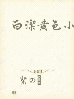 白洁黄色小说