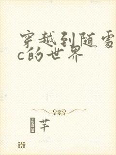 穿越到随处可以c的世界