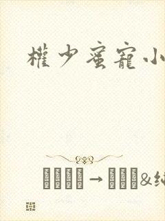 权少蜜宠小娇妻