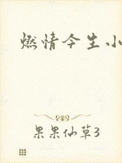 燃情今生小说