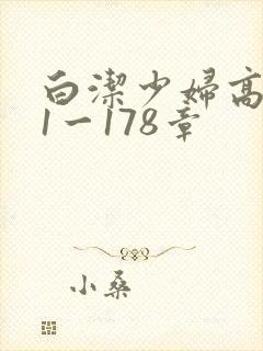 白洁少妇高义第1一178章