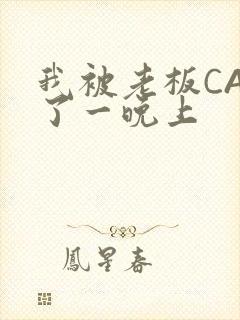 我被老板CAO了一晚上