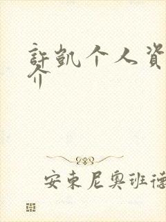 许凯个人资料简介