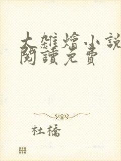 大杂烩小说全集阅读免费