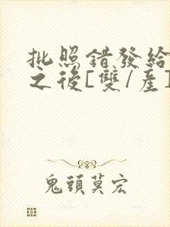 批照错发给情敌之后[双/产]