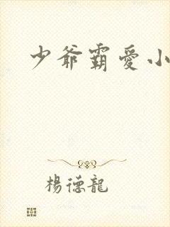 少爷霸爱小丫头