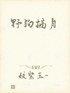野狗摘月