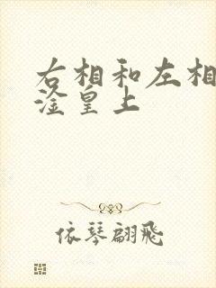 右相和左相一起淦皇上