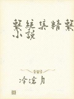 系统集精系统 小说