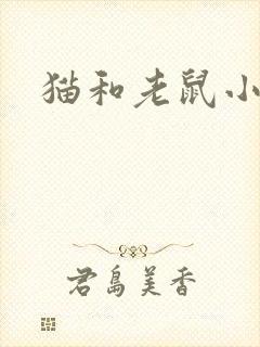 猫和老鼠小说
