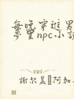 每晚穿进男神的梦里npc小说