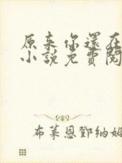 原来你还在这里小说免费阅读