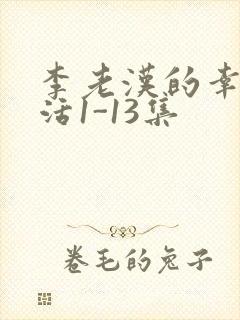 李老汉的幸福生活1-13集