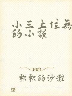 小三上位无三观的小说