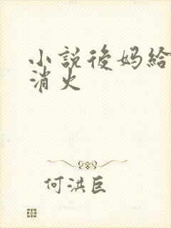 小说后妈给我消消火