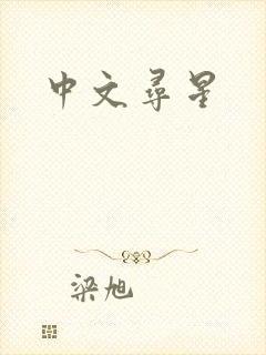 中文寻星