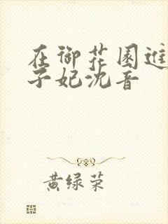 在御花园进入太子妃沈音