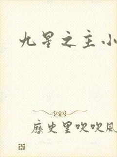 九星之主小说