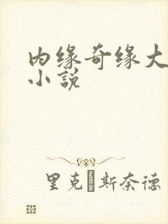 内缘奇缘大团圆小说